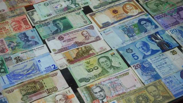 Foreign Exchange Rates for Today: USD Stable, Minor Fluctuations in Euro, Pound, and Others