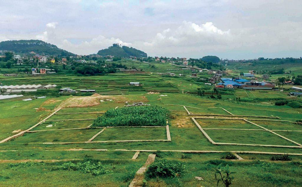 Land Transactions No Longer Require Bank Statements: Department Revises Rule Within a Week