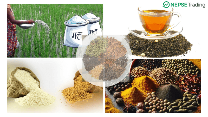 मल र अन्नमा आयात निर्भरता, तर मसला र चियामा निर्यातको सम्भावना