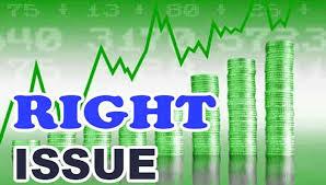 हिमालयन हाइड्रोपावरलाई १:१ अनुपातमा हकप्रद शेयर निष्कासनको प्रारम्भिक स्वीकृति