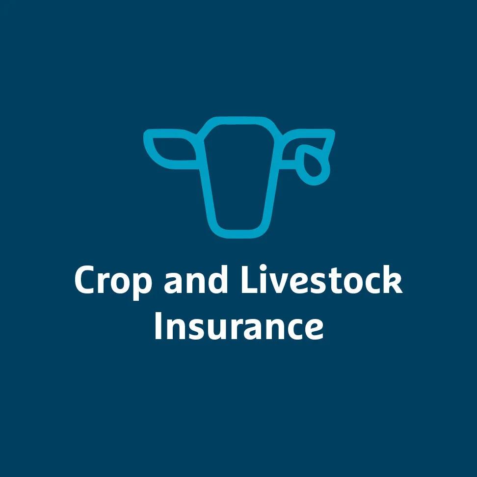 १२ वर्षमा कृषि, बाली तथा पशुपन्छी बीमामा ६ अर्ब ३० करोड अनुदान वितरण