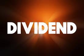 Sanima GIC Announces 5% Bonus Share and Cash Dividend for Shareholders